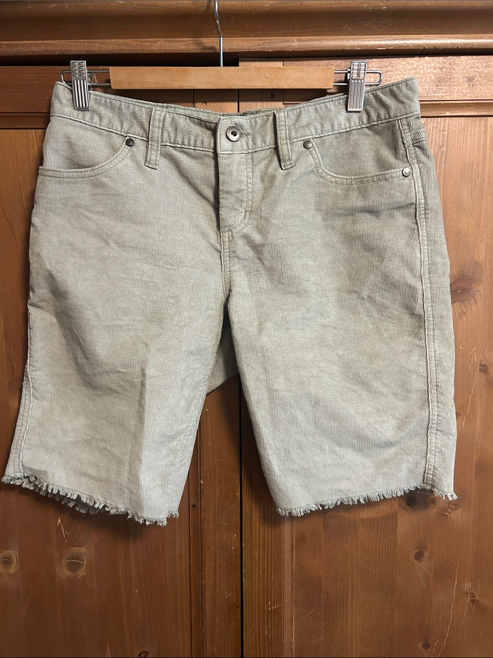 EUC Carve Designs Oahu corduroy Short 10“ Size 2 (Dogtown Shorts)